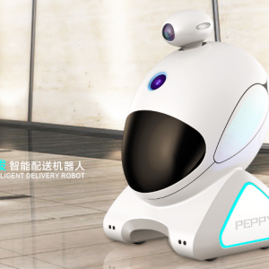 无人配送机器人破解“最后一公里”难题的智慧方案