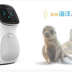 从设计瓶颈到爆款诞生：打造现象级儿童早教机器人