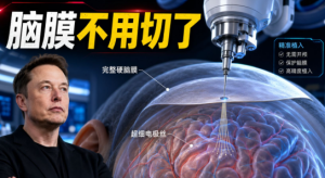 读懂大脑，连接人机：脑机科学从实验室走向真实场景